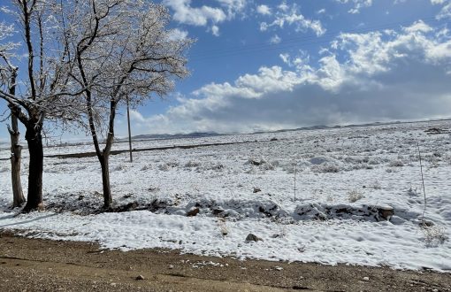 روز برفی در جاده سیاسرد بروجن